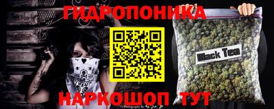 прущие крисы Будённовск