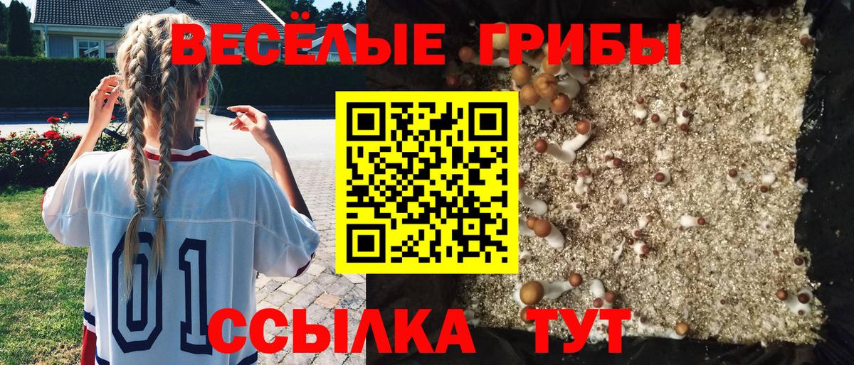 Междуреченск  Псилоцибиновые грибы Psilocybe  Галлюциногенные грибы мухоморы  Вход с VPN 